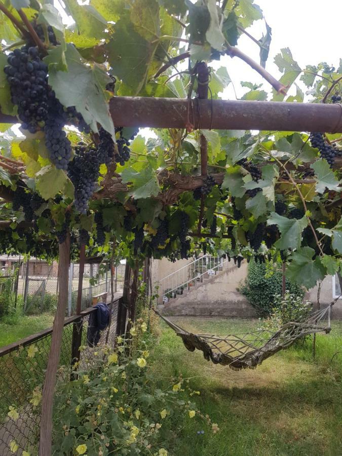 Wine Valley Udabno Esterno foto